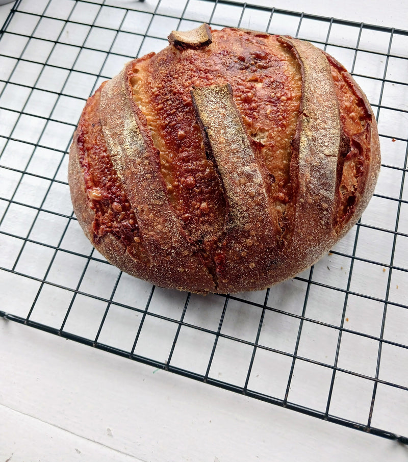 Roasted Garlic and Parmesan Sourdough Loaf from House of Rufus