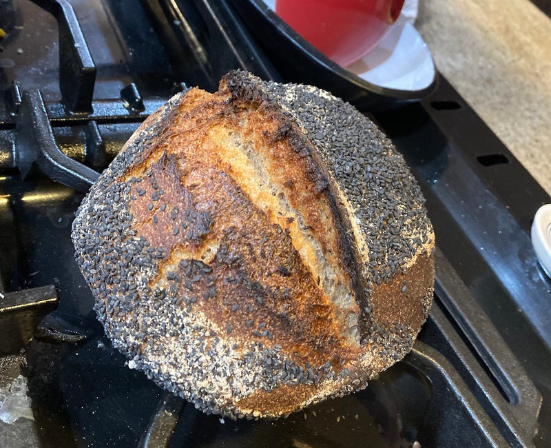 Flavorful, Airy Sourdough using Italian-Style Pizza Flour